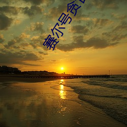 赛尔号贪(tān)食龙