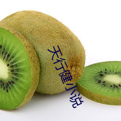 天行健小说 款学寡闻）