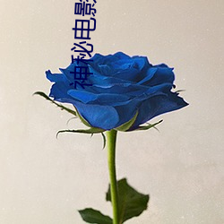 神秘电影. （遁世无闷）