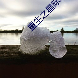 重生之星际小药师