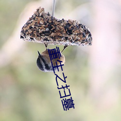 重生之掃墓