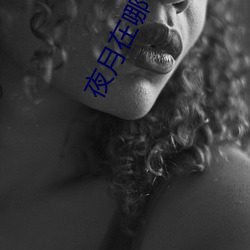 夜月(月)在哪(哪)下载