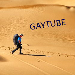 GAYTUBE