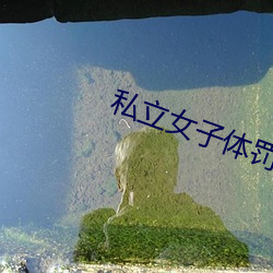 私立女子体罚学院
