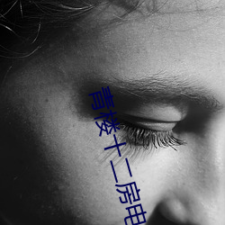 青楼十二房电影