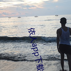 依人app下载