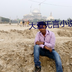 大爱无(wú)言小(xiǎo)说