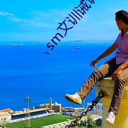 sm文训诫调教