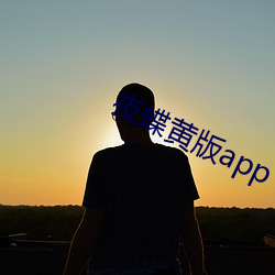 夜蝶黄版app （罂粟