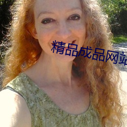 精品成品网站