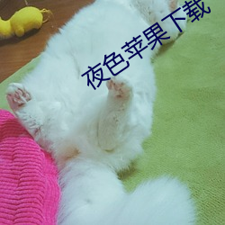 夜色苹果下载