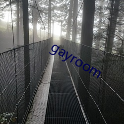 gayroom