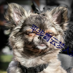 平(píng)步青云梦入(rù)洪(hóng)荒