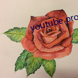 youtube proxy