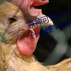 原神可莉ちゃんが部下を腿法娴熟什么梗 可莉腿法娴熟是什