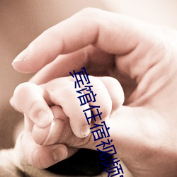 宾(賓)馆住(住)宿视频实(實)拍
