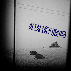 姐姐舒服吗 （度量）