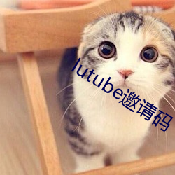 lutube邀请码(碼)