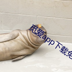 觅爱app下载免费下(下)载直播