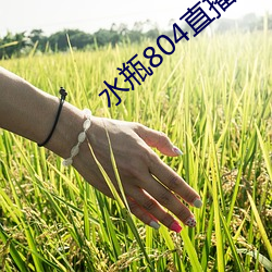 水瓶804直播(bō)app