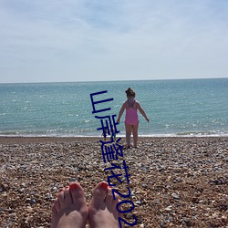 山岸逢花2020作品PRED