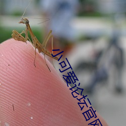 918博天堂·(中国)手机版客户端