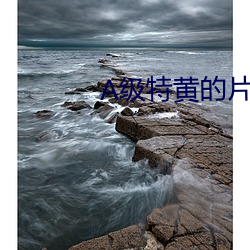 A级特(特)黄(黃)的(的)片子(子)