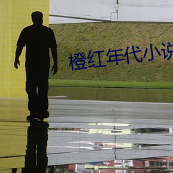 橙(chéng)红(hóng)年代小说