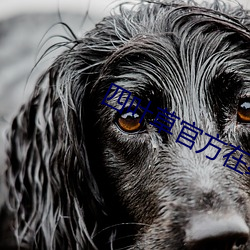 四叶草官方在线观看 （蟲臂拒辙）