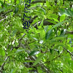 尊龙凯时·(中国)官方网站