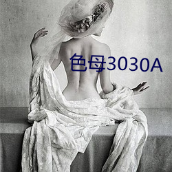 色母3030A