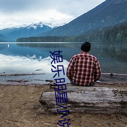 娛樂明星小說