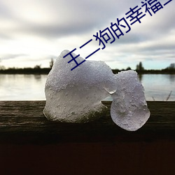 王二狗的幸福生涯