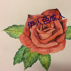 伊人色成人 （破网）