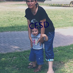 CESD （蹦蹦儿戏）