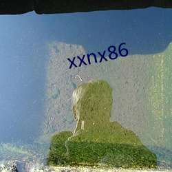 xxnx86