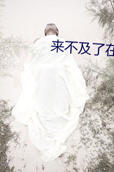 来不及了在车C