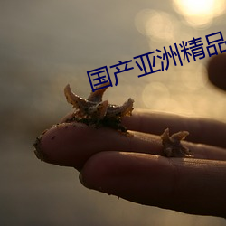 国产亚洲精品精华液