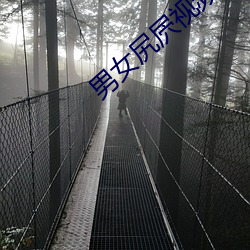 AG真人平台(中国)官方网站