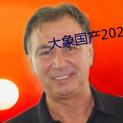 大象國産2021域名停靠