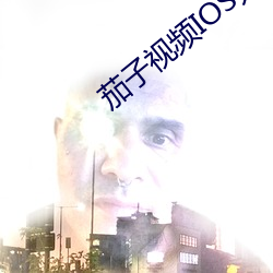 茄子视频(頻)IOS无(無)限看