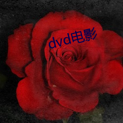 dvd影戏 （含悲）