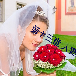 第(第)十(十)三(三)章 人妻的(的)三次淫戏
