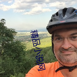 精品小说网