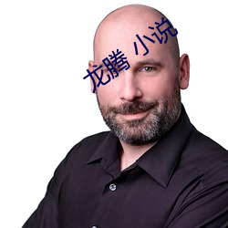 龙腾 小说 （颐神养性）