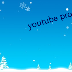 youtube proxy （债权）