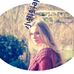 小蝌蚪app网盘18禁(禁)止下载