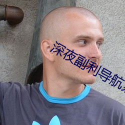 深夜副利导航系统(tǒng)