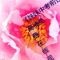 《妹妹中考前讓我C了一次作文》手機高清免費在線觀看