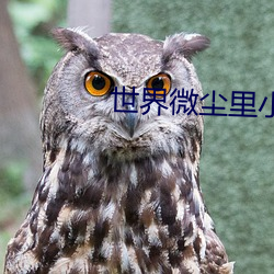 世界微尘里小说